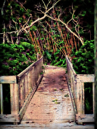 BOARDWALK PATH