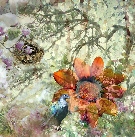 SPRING