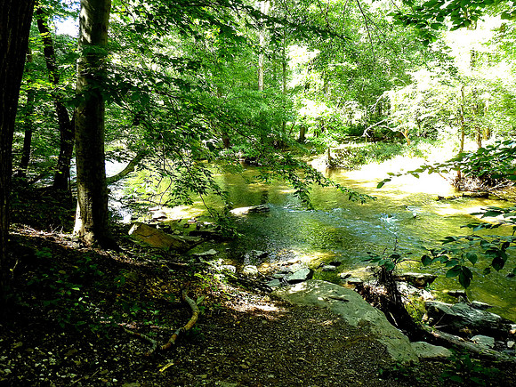 A TRANQUIL STREAM