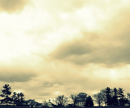 IN THE COUNTRY