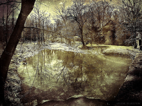 WINTER ON THE STREAM