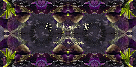 COVER AS I IMAGINE IT